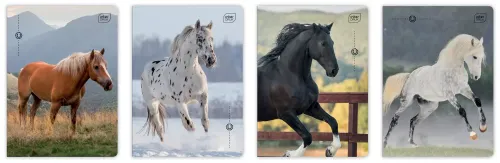 Zeszyt A5 32 Kartki Kolorowa Linia 70 G Uv Wild Horses Interdruk na Arena.pl