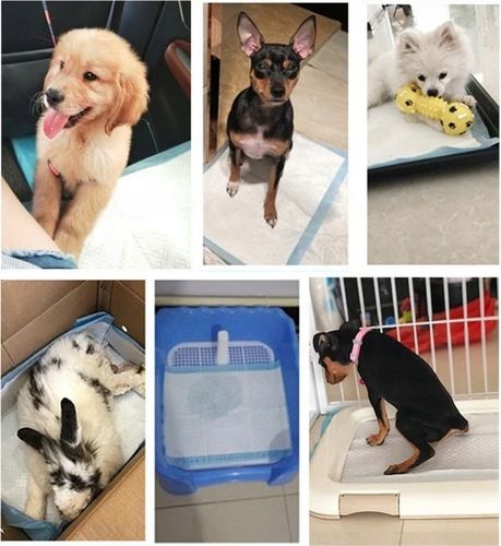 MATY Higieniczne Podkłady Chłonne dla PSA S 100szt na Arena.pl