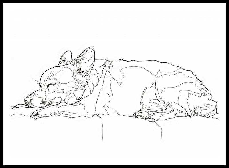 Plakat 84,1x59,4cm Śpiący Psiak zdjęcie 3