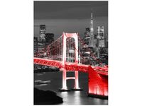 OBRAZ DRUK TOKYO MOST TĘCZOWY CZERWIENI