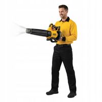 DEWALT DMUCHAWA AKUMULATOROWA 18V XR DCMBL562N-XJ POLSKA GW