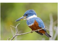 product-compare-58693665