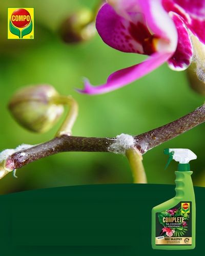 2x COMPO 2w1 na choroby i szkodniki MSZYCE PLEŚŃ na Arena.pl