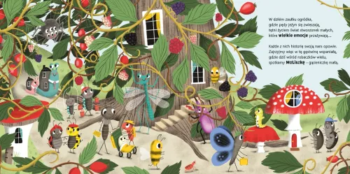 Amberek. Nie bój się zmian, MaLiszko! na Arena.pl