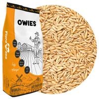 OWIES ZIARNO PASZA KARMA DROBNA DLA GOŁĘBI KÓZ OWIEC KONI