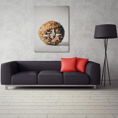 Deco Panel, Egzotyczny owoc 40x50 na Arena.pl