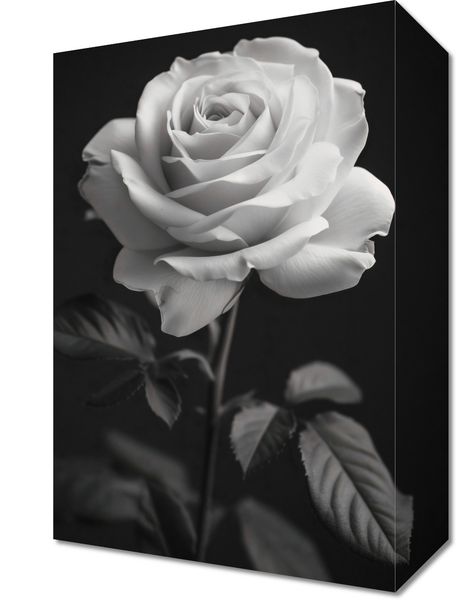 Obraz 20x30cm Płatki Róż zdjęcie 1