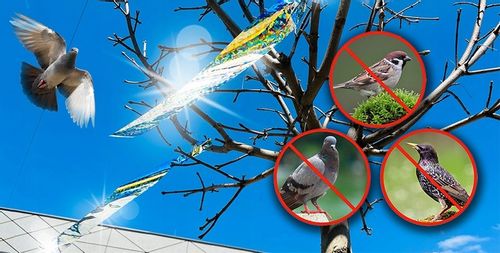 ZESTAW DO ODSTRASZANIA PTAKÓW GOŁĘBIE WRÓBLE MEWY na Arena.pl