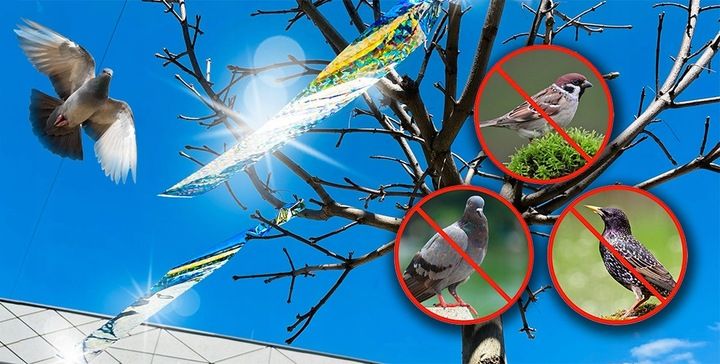 ZESTAW DO ODSTRASZANIA PTAKÓW GOŁĘBIE WRÓBLE MEWY zdjęcie 13