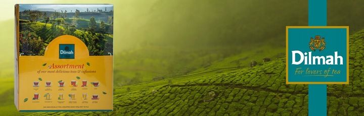 Herbata DILMAH PICK & MIX TEA 240 torebek zdjęcie 4