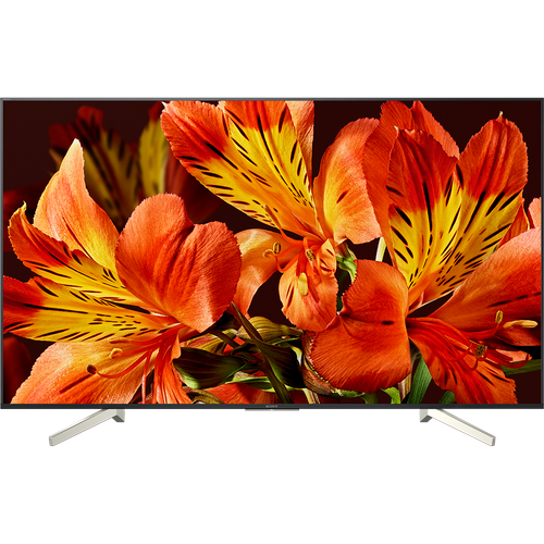 Telewizor SONY KD-85XF8596 na Arena.pl