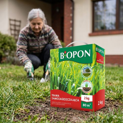 BOPON - Trawa Samozagęszczająca 80 m² - 2 kg na Arena.pl