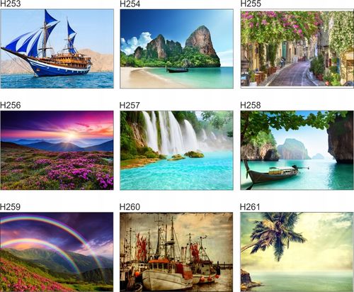 Fototapeta 3D las we mgle drzewa na wymiar FLIZ na Arena.pl