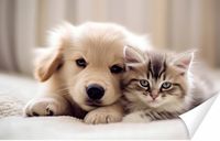 Fototapeta PREMIUM STRUKTURA ZMYWALANA tapeta szczeniak i kotek leżą razem