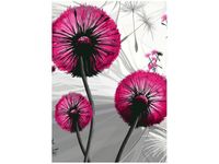 60CM 50CM OBRAZ ŚCIENNY DMUCHAWCE AMARANCIE DRUK PŁÓTNO