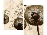 product-compare-58667189