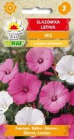 Ślazówka letnia na wysokie rabaty nasiona 1 g.