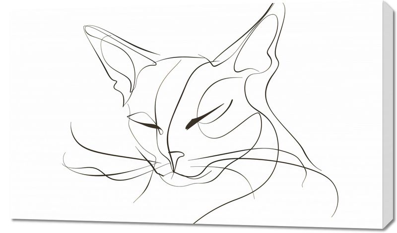 Obraz 100x60cm Linijny Kot zdjęcie 1