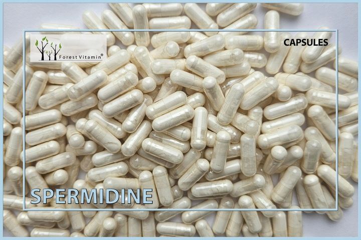 SPERMIDYNA 60 KAPS 10mg MOCNA CZYSTA SPERMIDYNE TRICHLOROWODOREK SPERMIDYNY zdjęcie 8