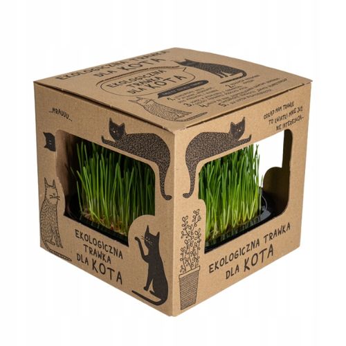 2x EKO Trawka Dla Kota Trawa Odkłaczająca Przysmak EKOLOGICZNA WYROŚNIĘTA na Arena.pl