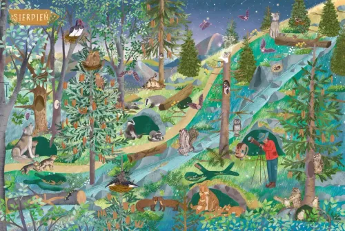 Obrazkowa książka edukacyjna dla dzieci - Rok w górach - 2024 Oprawa twarda na Arena.pl