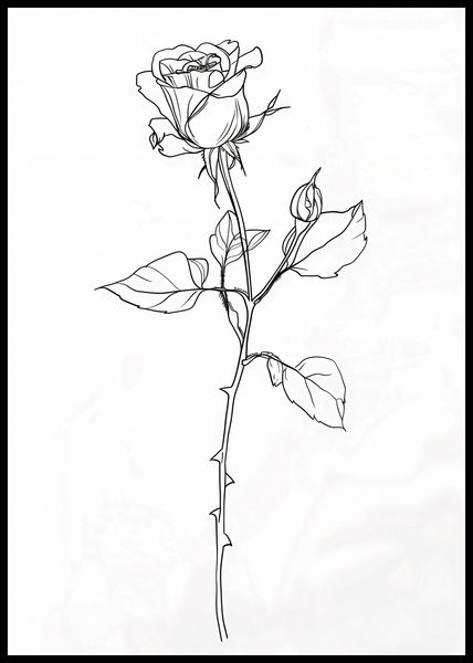 Plakat 59,4x84,1cm Kontur Róży zdjęcie 2