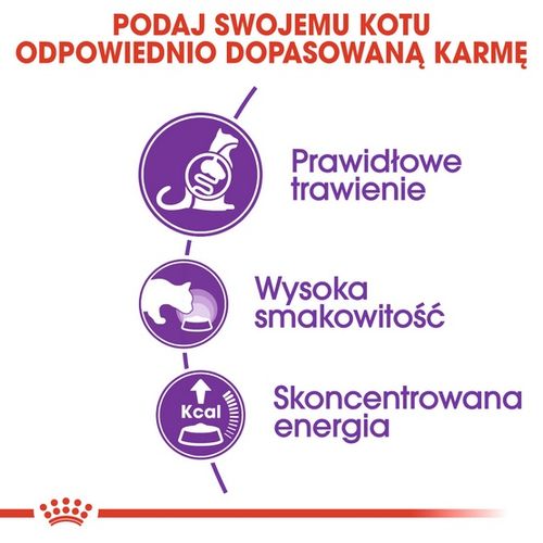 Royal Canin Sensible Karma Sucha Dla Kotów Dorosłych, O Wrażliwym Przewodzi na Arena.pl