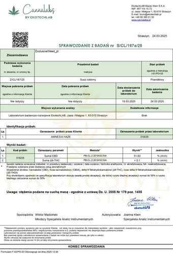 Susz konopny Amnesia Haze CBD 100g na Arena.pl