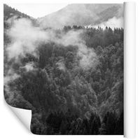 Fototapeta 3D Las we Mgle Górski PEJZAŻ do Salonu 450x300