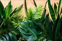 Tło fotograficzne Produktowe FLAT LAT Kulinarne