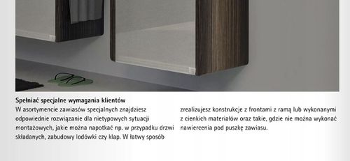 Zawias specjalny - zawias środkowy do drzwi składanych, przykręcany na Arena.pl