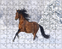 Puzzle Konie