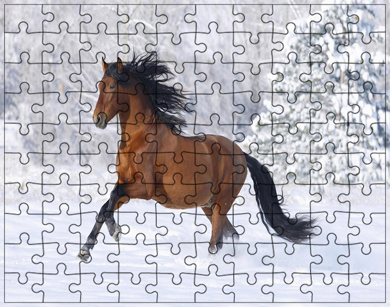 Puzzle Konie zdjęcie 1