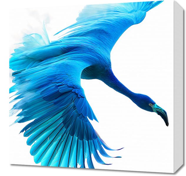 Obraz 50x50cm Błękitny Lot zdjęcie 1