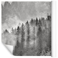 Fototapeta 3D Las we Mgle Natura do Salonu 90x60