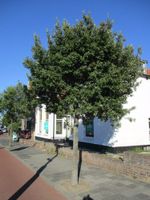 product-compare-61065819