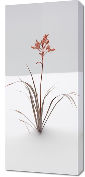 Obraz 40x90cm Subtelność Natury zdjęcie 1