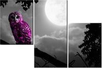 60 90CM OBRAZ 3 ELEM FIOLETOWA SOWA ŚCIENNY DRUK PŁÓTNO