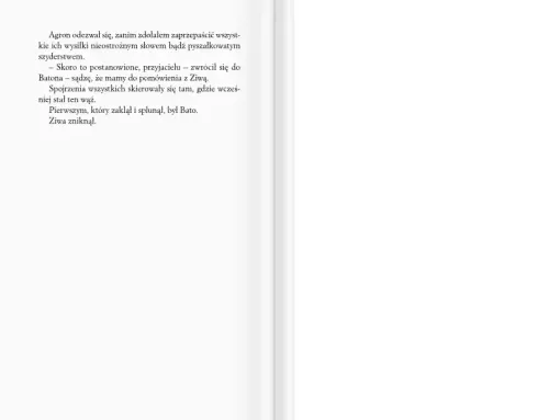 Buntownik na Arena.pl