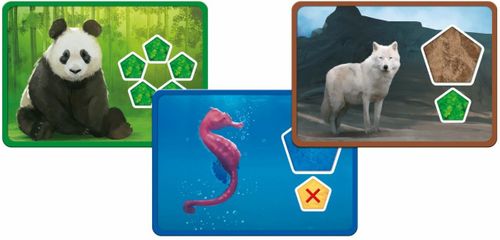 Gra Planeta na Arena.pl