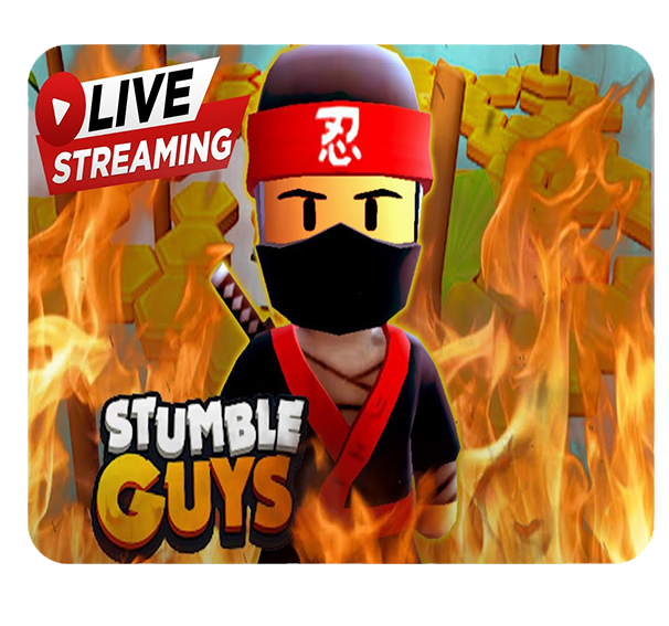 Podkładka pod myszkę Stumble Guys zdjęcie 1