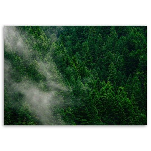 OBRAZ NA PŁÓTNIE Zielony Las we Mgle Natura na Arena.pl