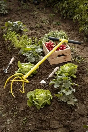 XXL KULTYWATOR SPULCHNIACZ GLEBY RĘCZNY ADLER zdjęcie 5