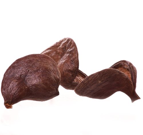 Badam lakierowany na Arena.pl