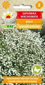 Gipsówka wiechowata biała przyciąga motyle 0,5 g na Arena.pl