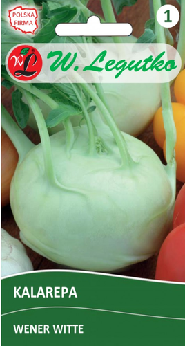 Nasiona Kalarepa Wener Witte-jasnozielona, wczesna na Arena.pl