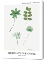 Obraz 70x100cm Design Tree Leaf Set, Redoute Vintage do Salonu