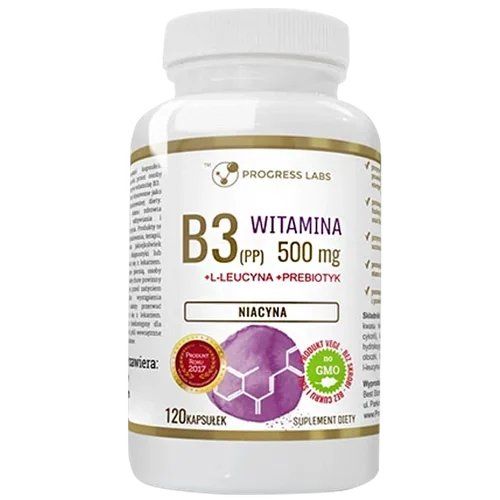Progress Labs Witamina B3 500Mg Niacyna 120 Kaps. zdjęcie 1