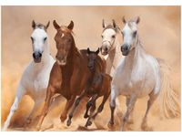 OBRAZ DRUK KONIE BIEGNĄCE GALOPEM