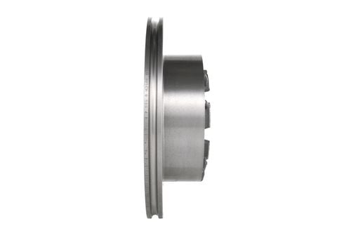 TARCZA HAM TYL 289X22 P BOSCH na Arena.pl